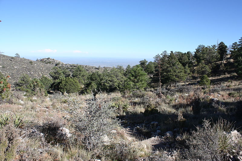 Pico Guadalupe