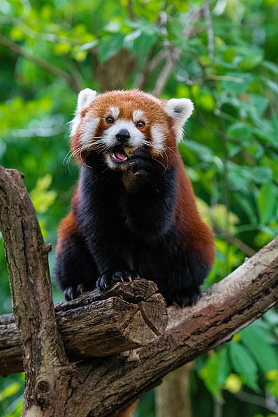 Sacramento Zoo