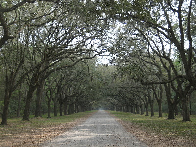 Wormsloe Historic Site