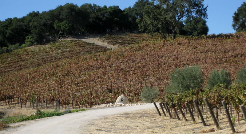 Tablas Creek Vineyard