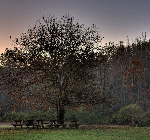 Robert H. Treman State Park