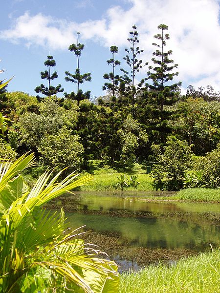 Jardín botánico Ho'omaluhia