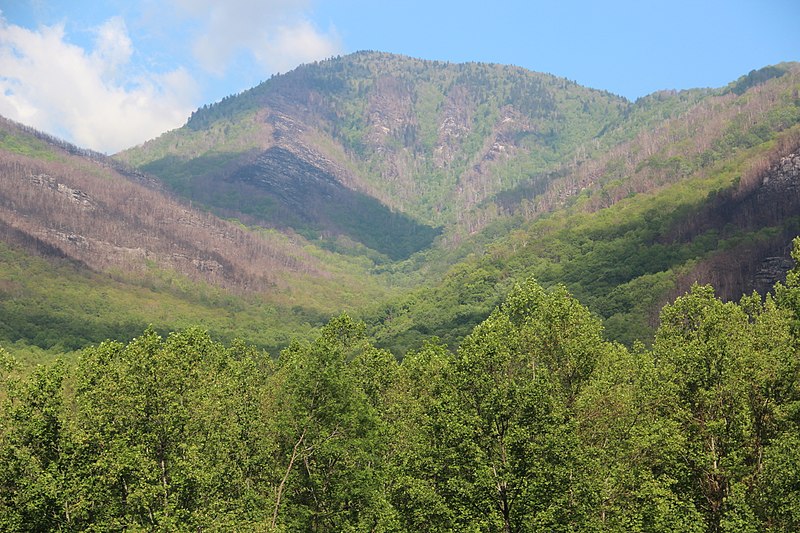 Mount Le Conte