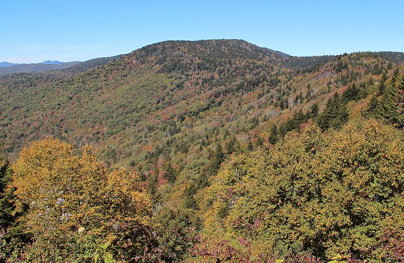 Great Balsam Mountains