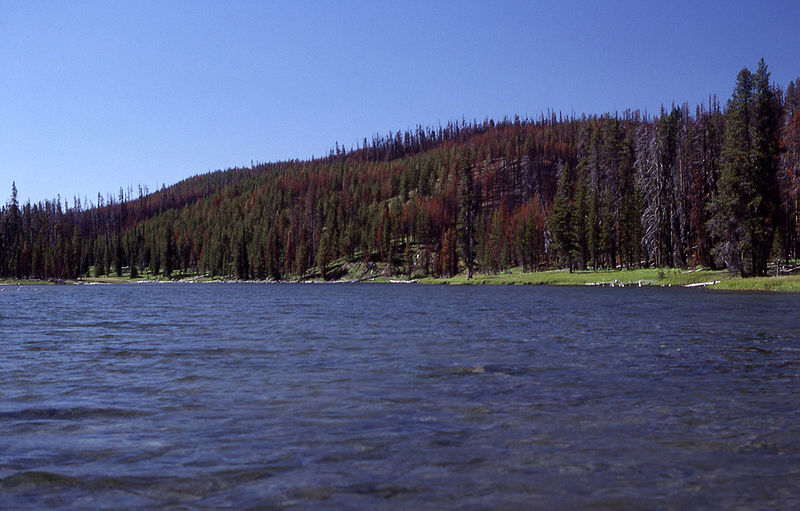 Jezioro Shoshone