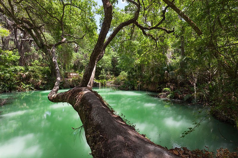 Green Springs Park