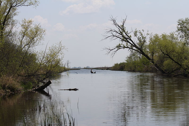 Horicon Marsh