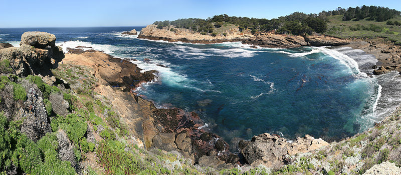 Point Lobos