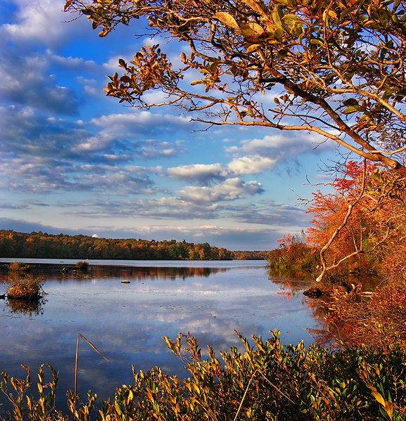 Park Stanowy Tobyhanna