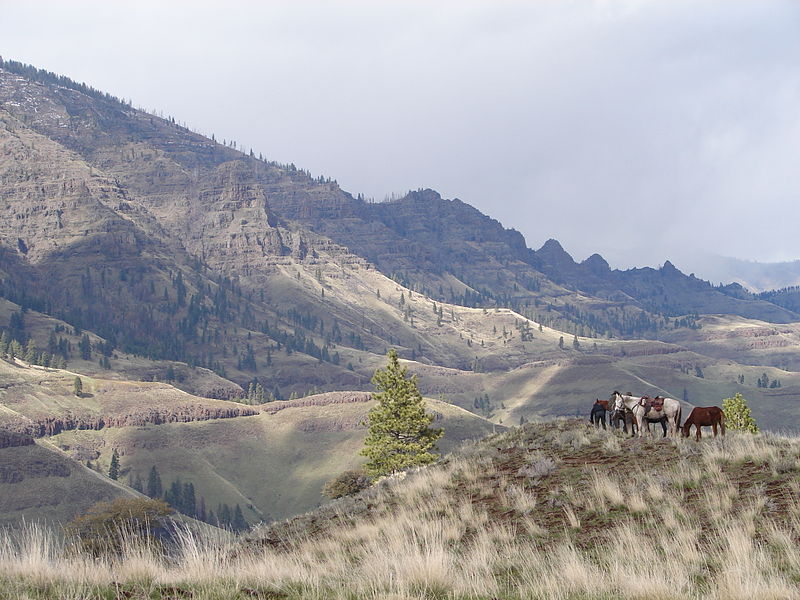 Hells Canyon Wilderness