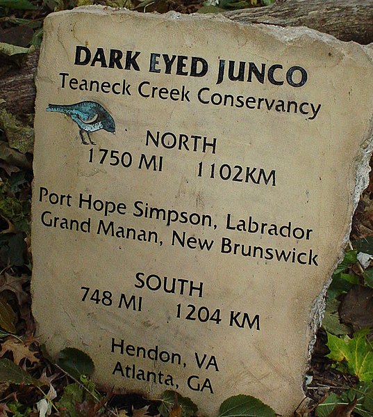 Teaneck Creek Conservancy