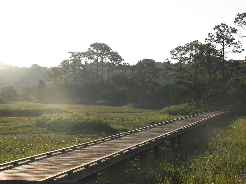 Park Stanowy Hunting Island