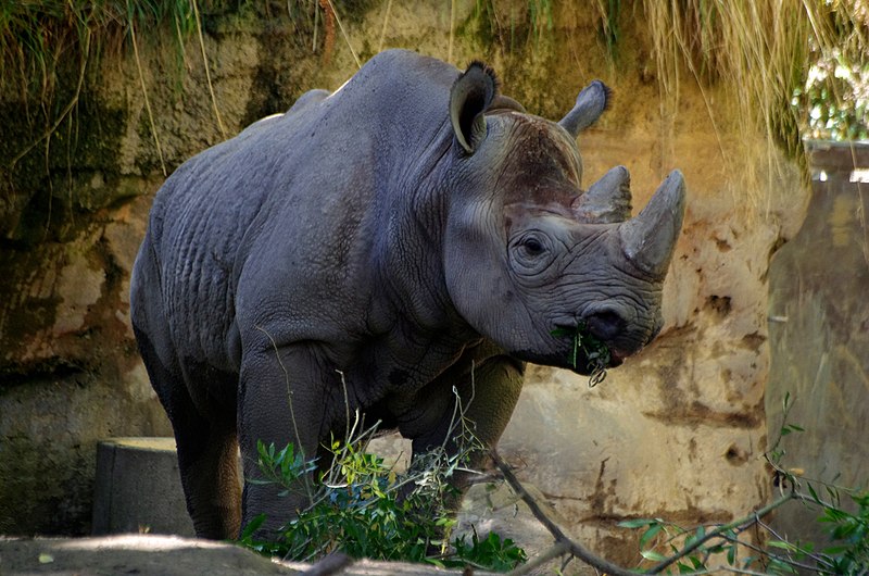 Oregon Zoo