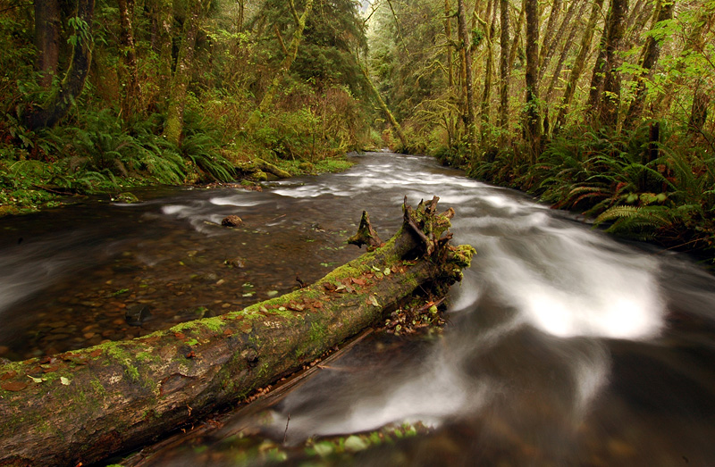 Rock Creek Wilderness