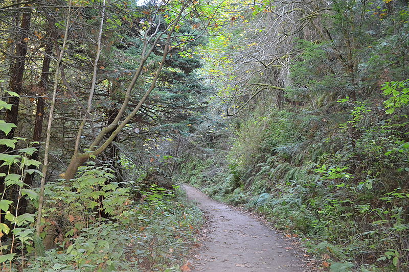 Purisima Creek Redwoods Open Space Preserve