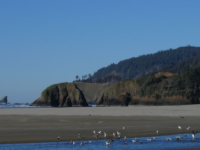 Cannon Beach