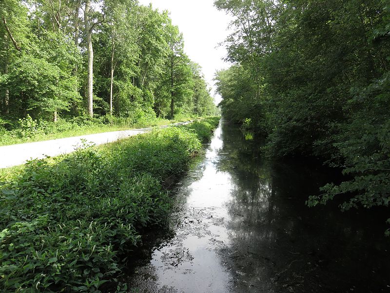 Great Dismal Swamp National Wildlife Refuge