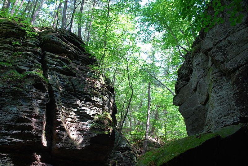 Parfrey's Glen State Natural Area