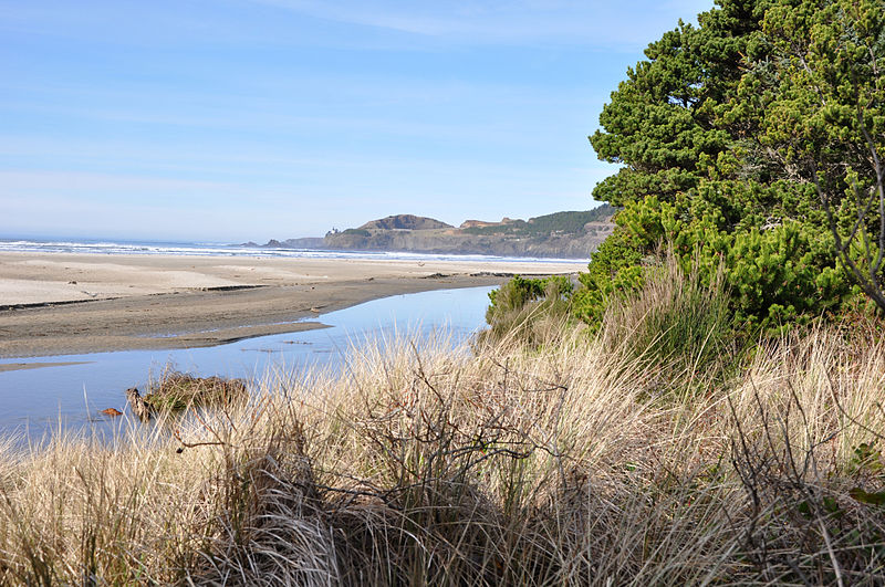 Agate Beach State Recreation Site