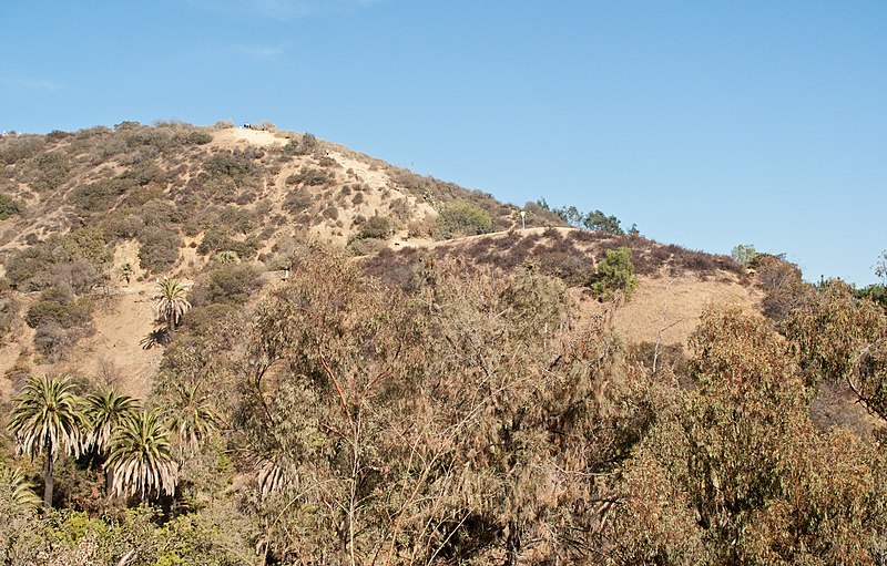 Runyon Canyon Park