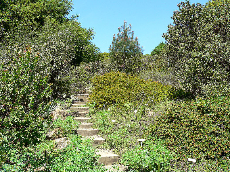 Jardín botánico de la universidad de California en Berkeley