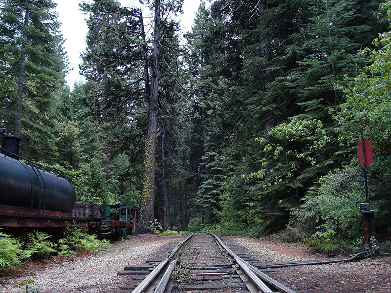 Yosemite Mountain Sugar Pine Railroad