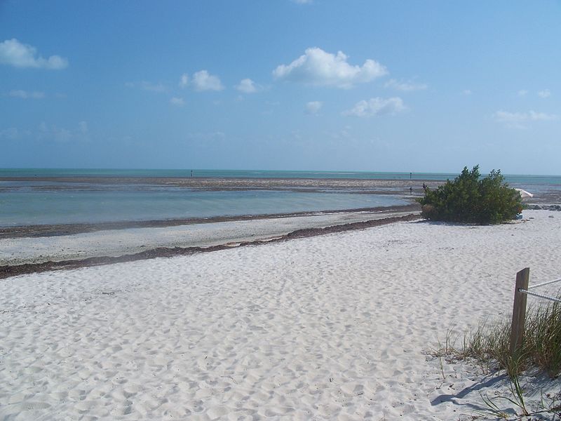 Curry Hammock State Park