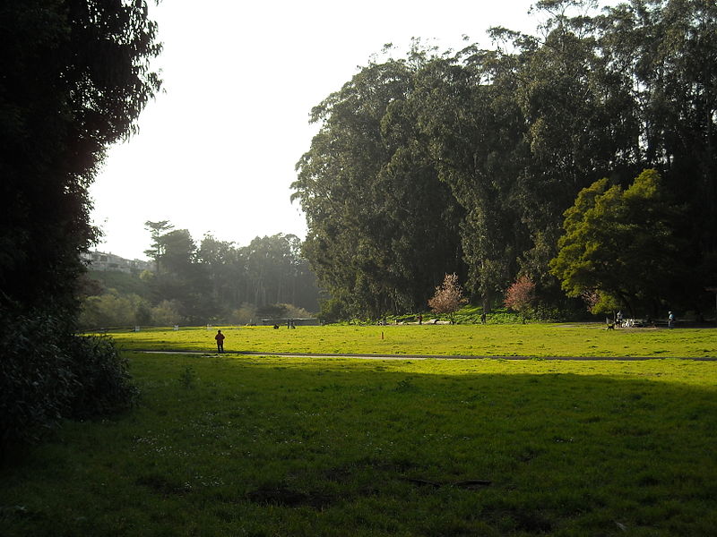 Sigmund Stern Recreation Grove