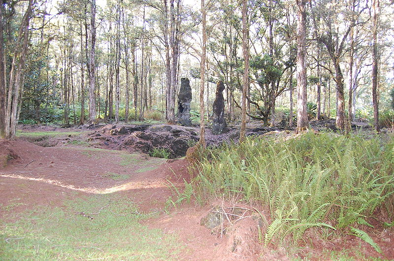 Monument d'État de Lava Tree
