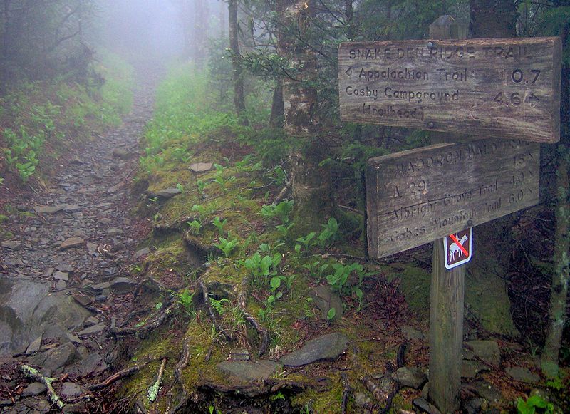 Snake Den Ridge Trail