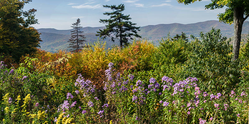 Mont Greylock