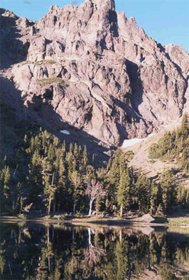 Carson-Iceberg Wilderness