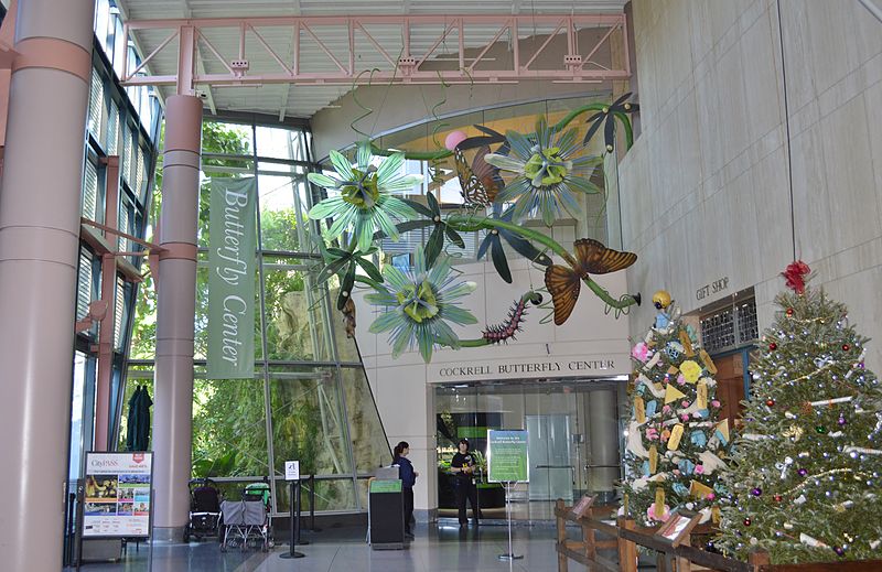 Musée des sciences naturelles de Houston