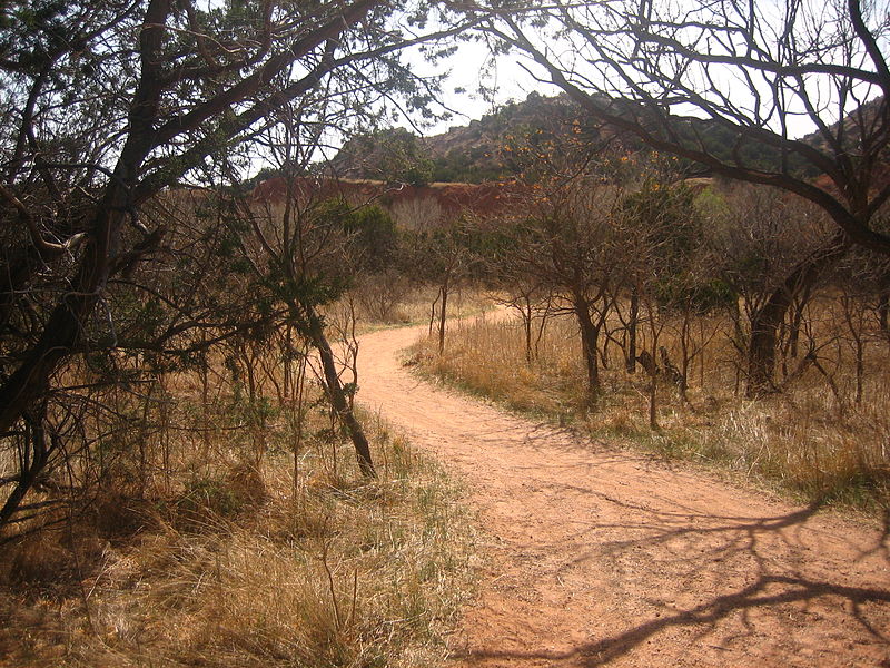 Kanion Palo Duro