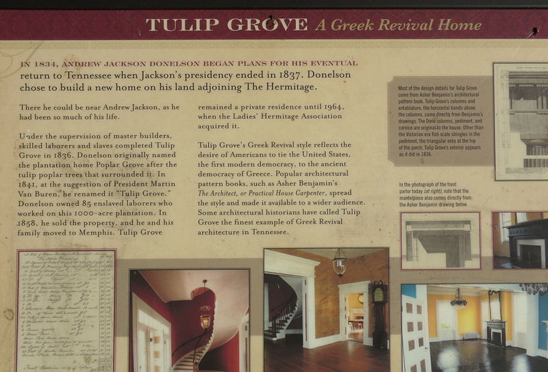 Tulip Grove