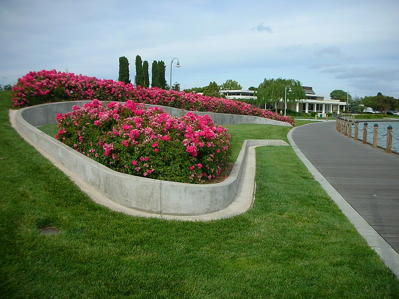 Leo J. Ryan Memorial Park