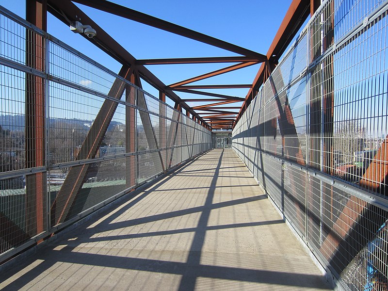 Rhine–Lafayette Pedestrian Overpass
