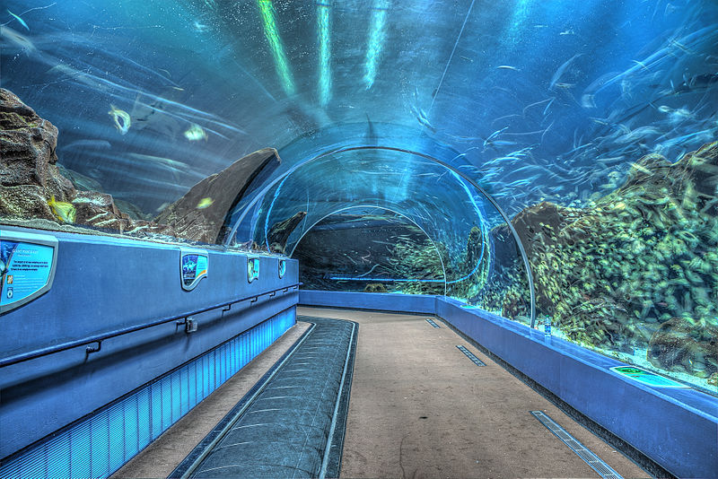 Aquarium de Géorgie