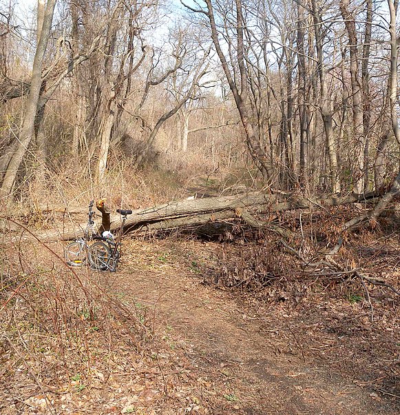 South County Trailway