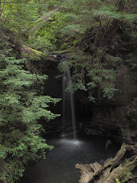 Parc d'État de Big Basin Redwoods