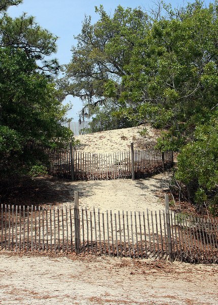 Carolina Beach State Park