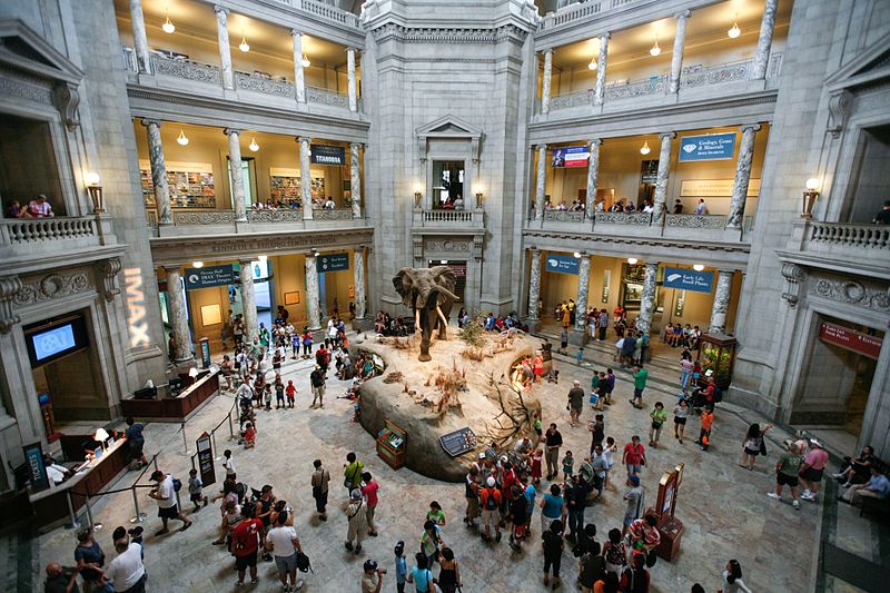 Museo Nacional de Historia Natural de los Estados Unidos