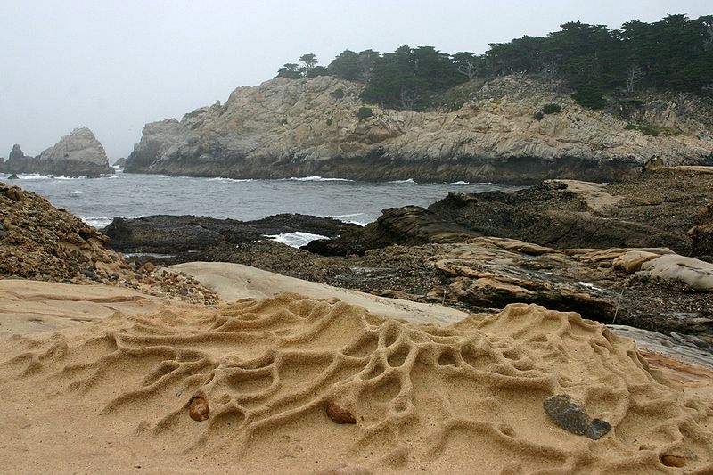 Point Lobos