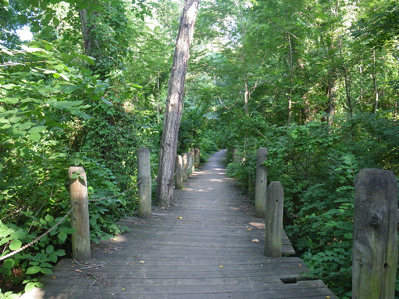 Holmes Run Trail