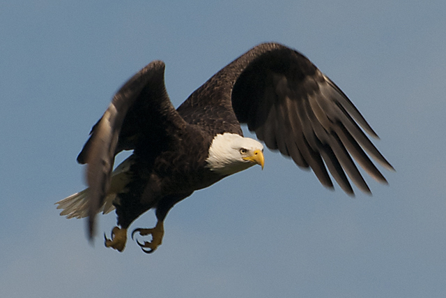 St. Vincent National Wildlife Refuge