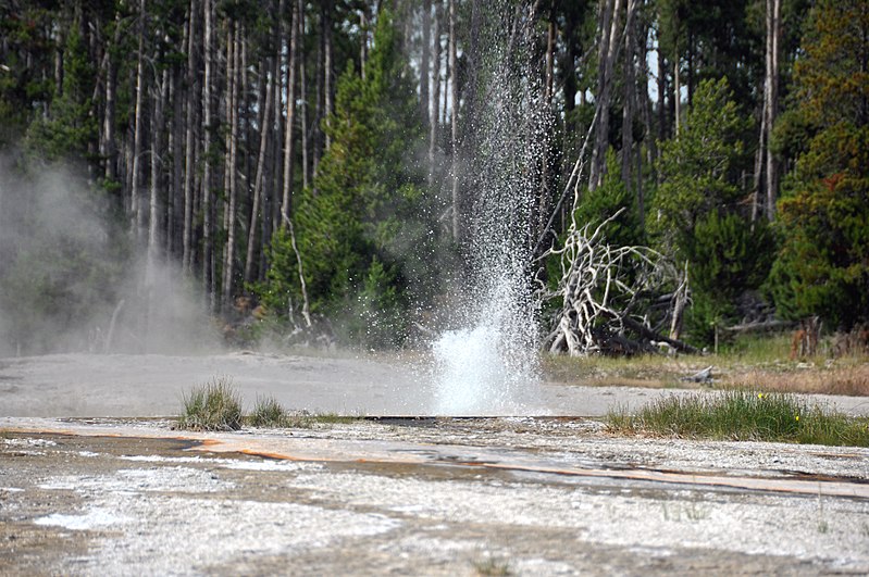 Bead Geyser