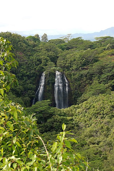 Parc d'État de Wailua River