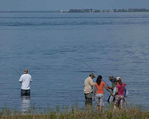 St. Marks National Wildlife Refuge