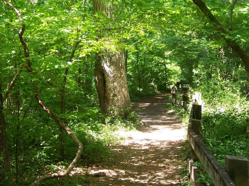 Devil's Millhopper Geological State Park