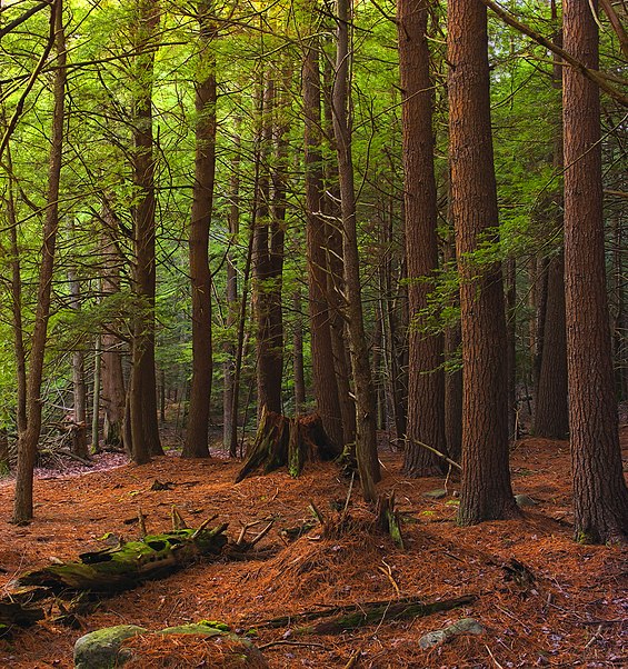 R. B. Winter State Park